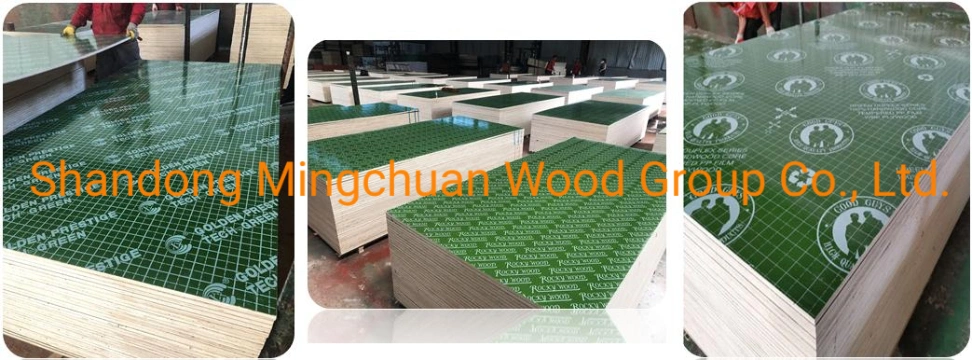 Green PP Plywood Hardwood PVC Plywood Shuttering Plywood Marine Plywood